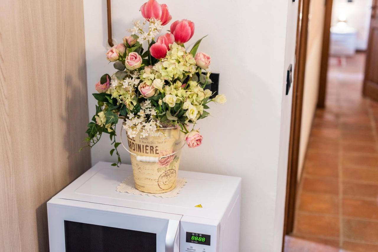 Conce Apartment 피사 외부 사진
